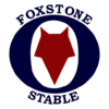 Foxstone Logo