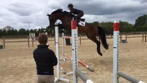 Jumping Horse